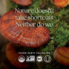 New Chapter etiqueta con sellos USDA Organic y Non-GMO para confianza en certificaciones