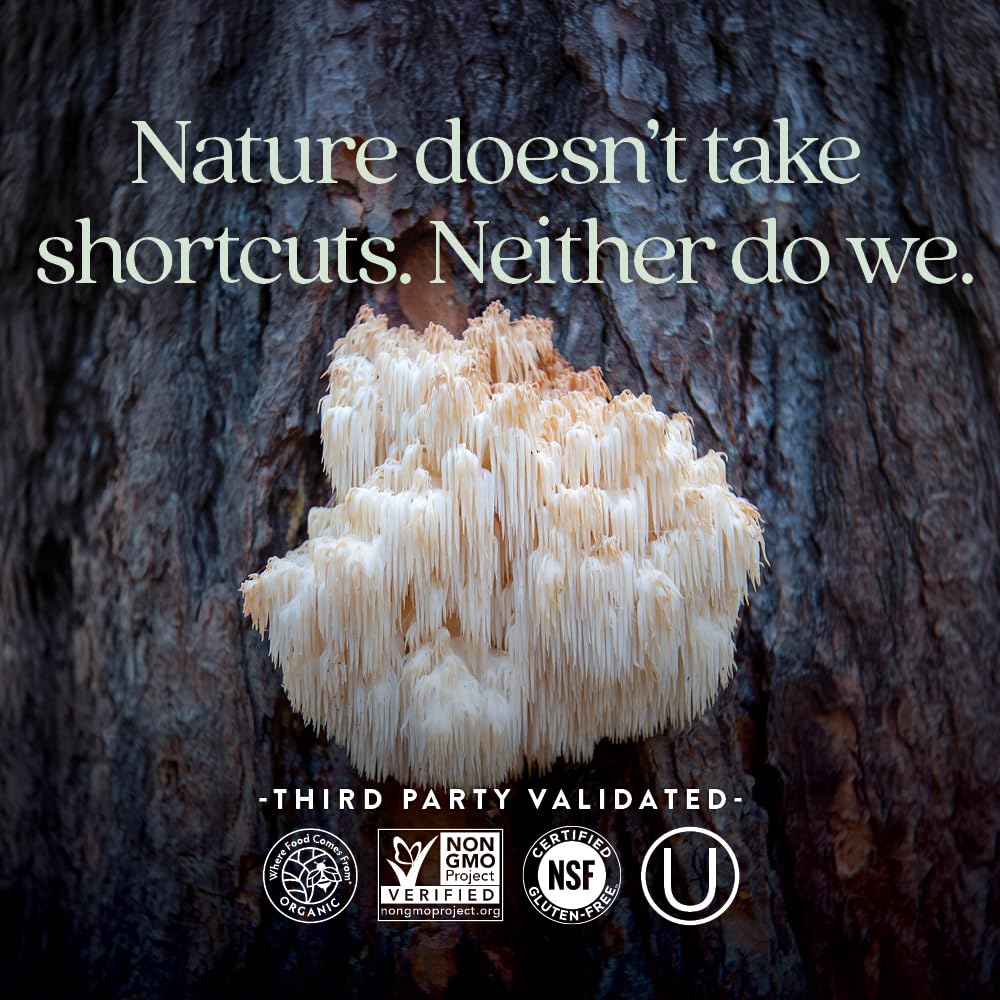 New Chapter hongos frescos (Lion's Mane y Reishi) como fuente natural