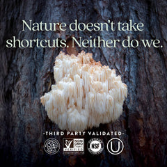 New Chapter hongos frescos (Lion's Mane y Reishi) como fuente natural