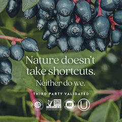 New Chapter etiqueta nutricional detallada con valores de zinc y cobre