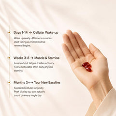 NewJoy ambiente de desayuno saludable integrando el suplemento diario