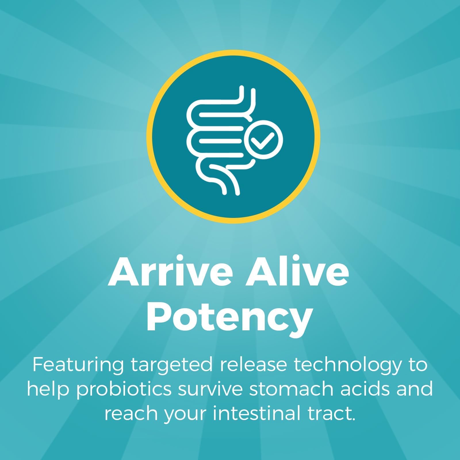 NewRhythm Probiotics: enzimas digestivas para descomponer alimentos.