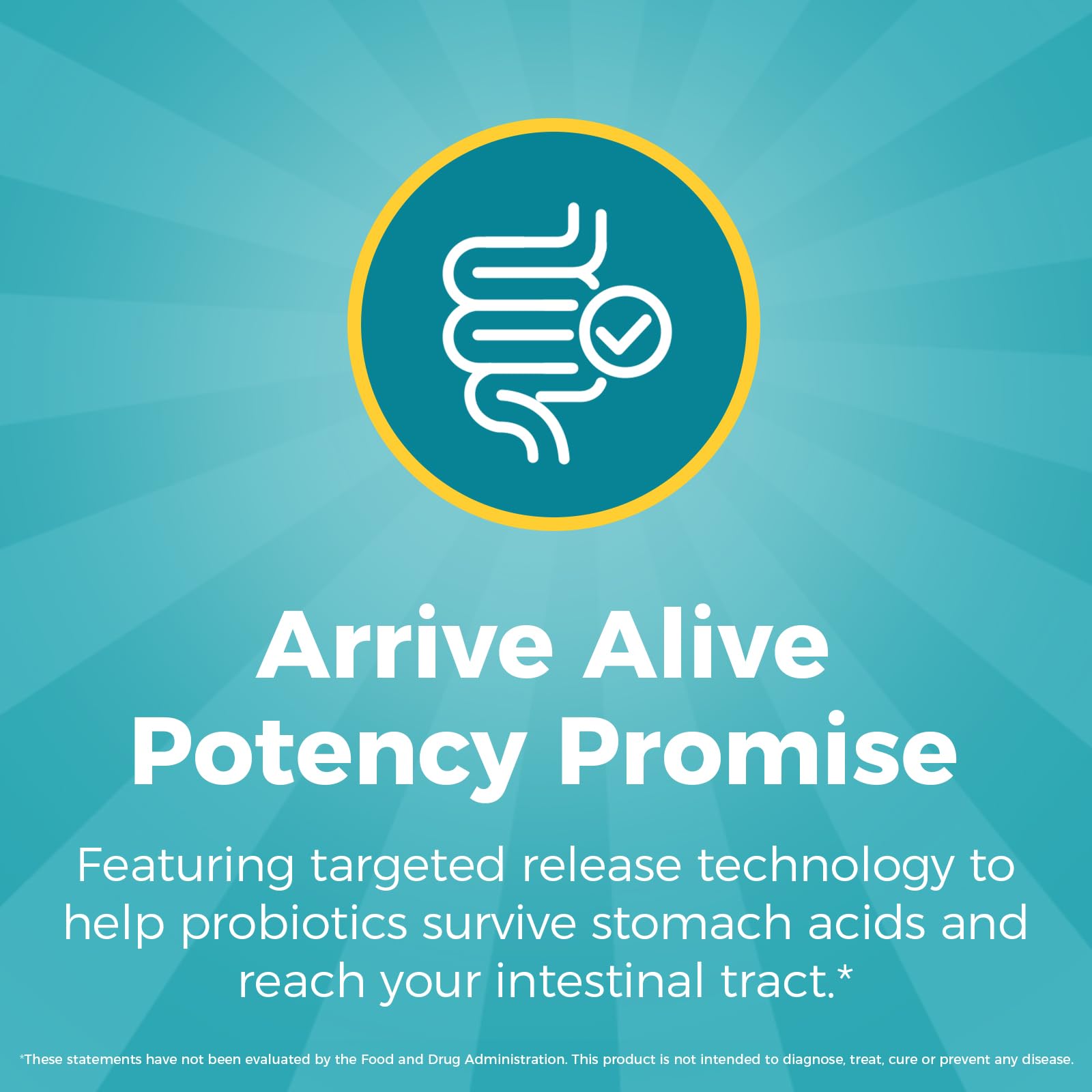 NewRhythm Probiotics, enzimas digestivas de amplio espectro.