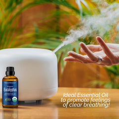 Nexon Botanics en difusor creando ambiente fresco y relajante