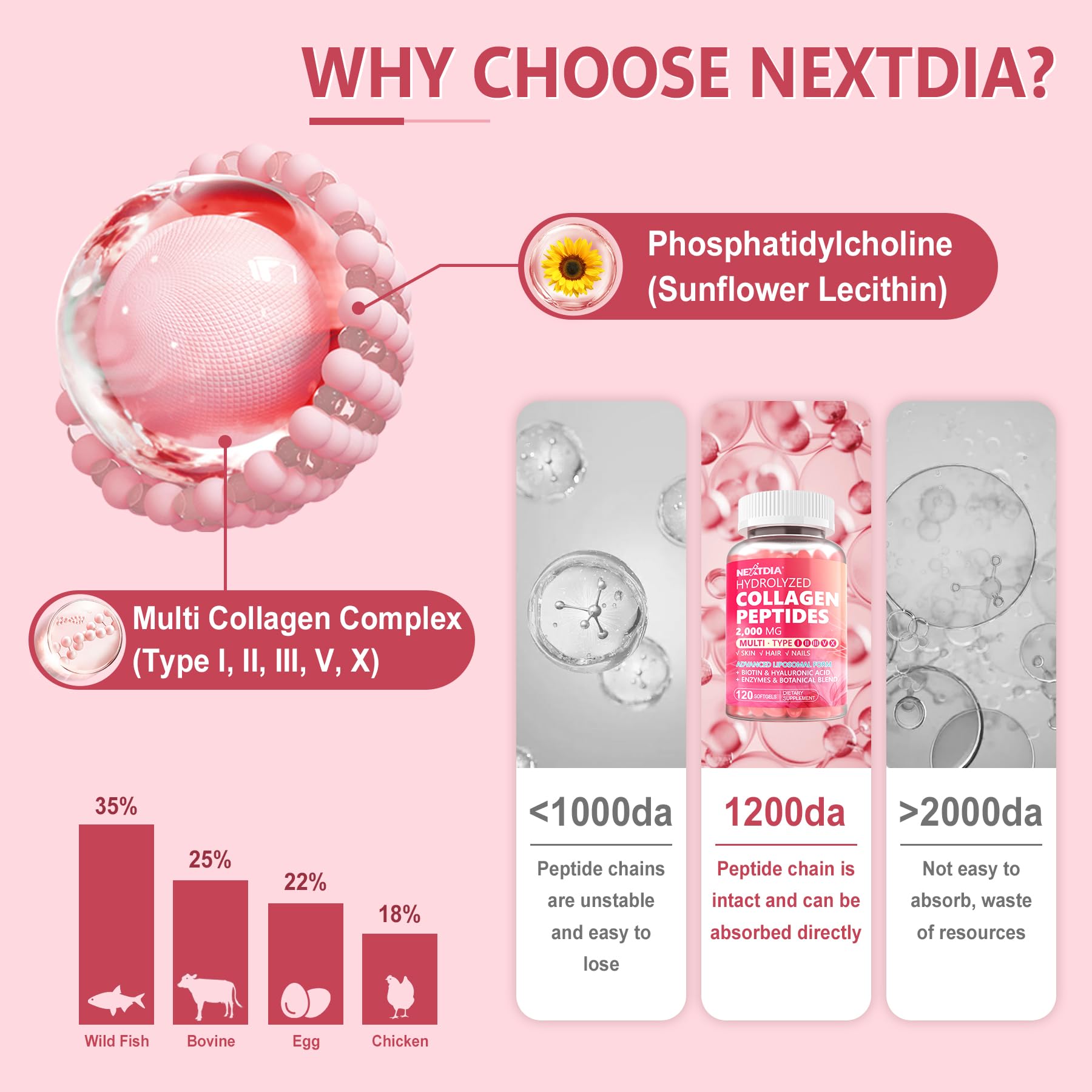 Nextdia cápsula abierta con péptidos, destaca absorción mejorada y pureza