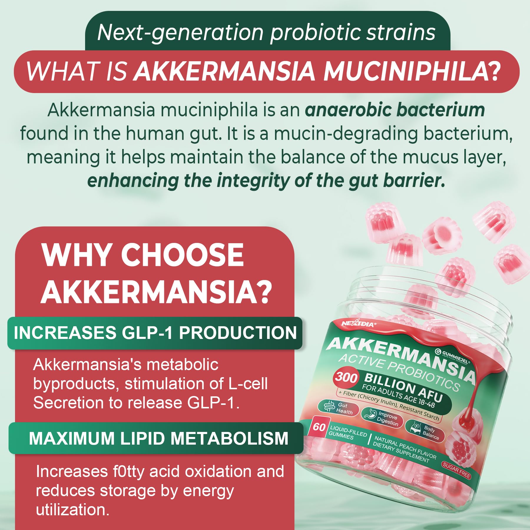 Nextdia corte en sección doble capa que protege bacterias anaerobias