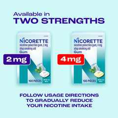 Envase Nicorette en un bolso estilo urbano indicando disponibilidad todo el día