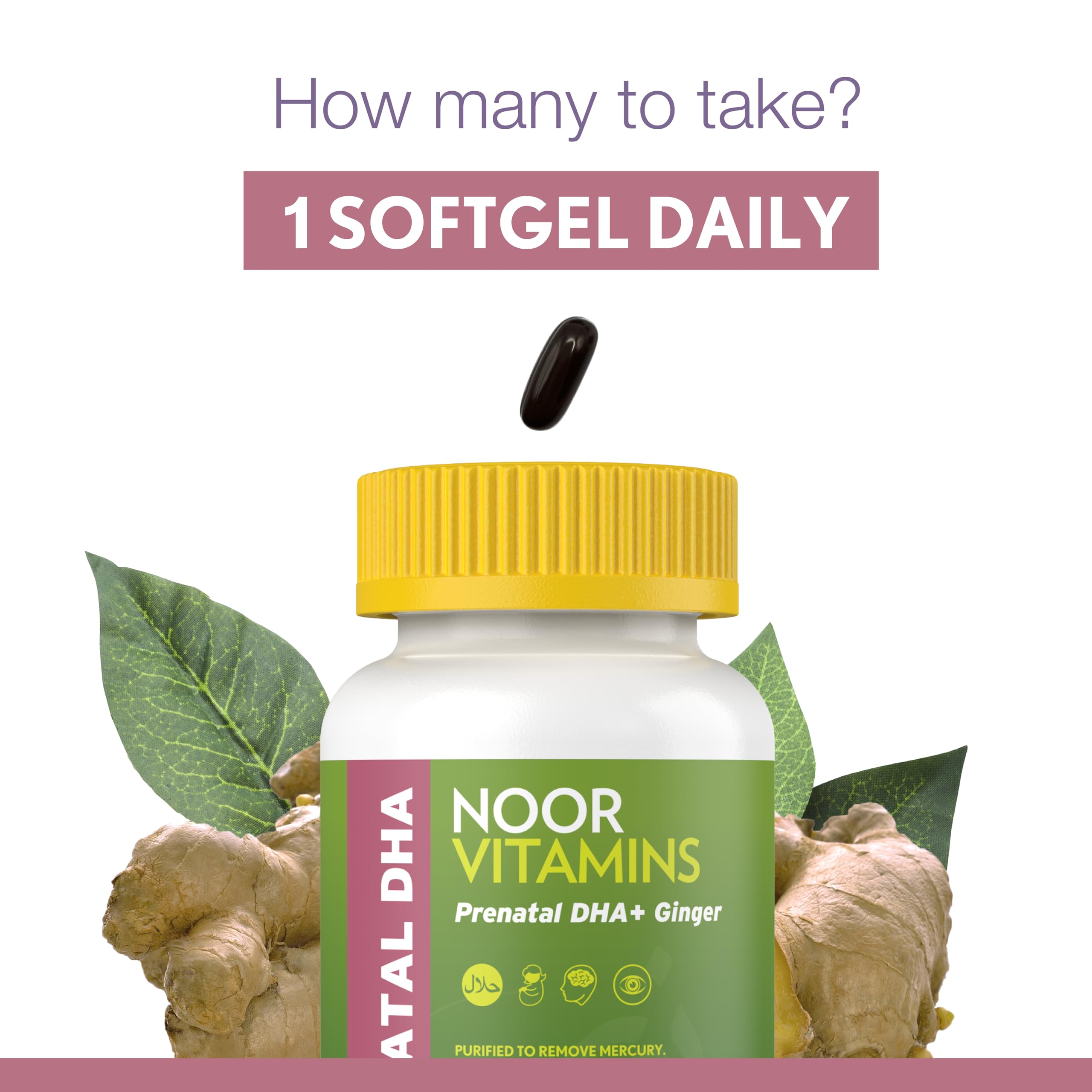 Noor Vitamins cápsula comparada con mano para mostrar tamaño real