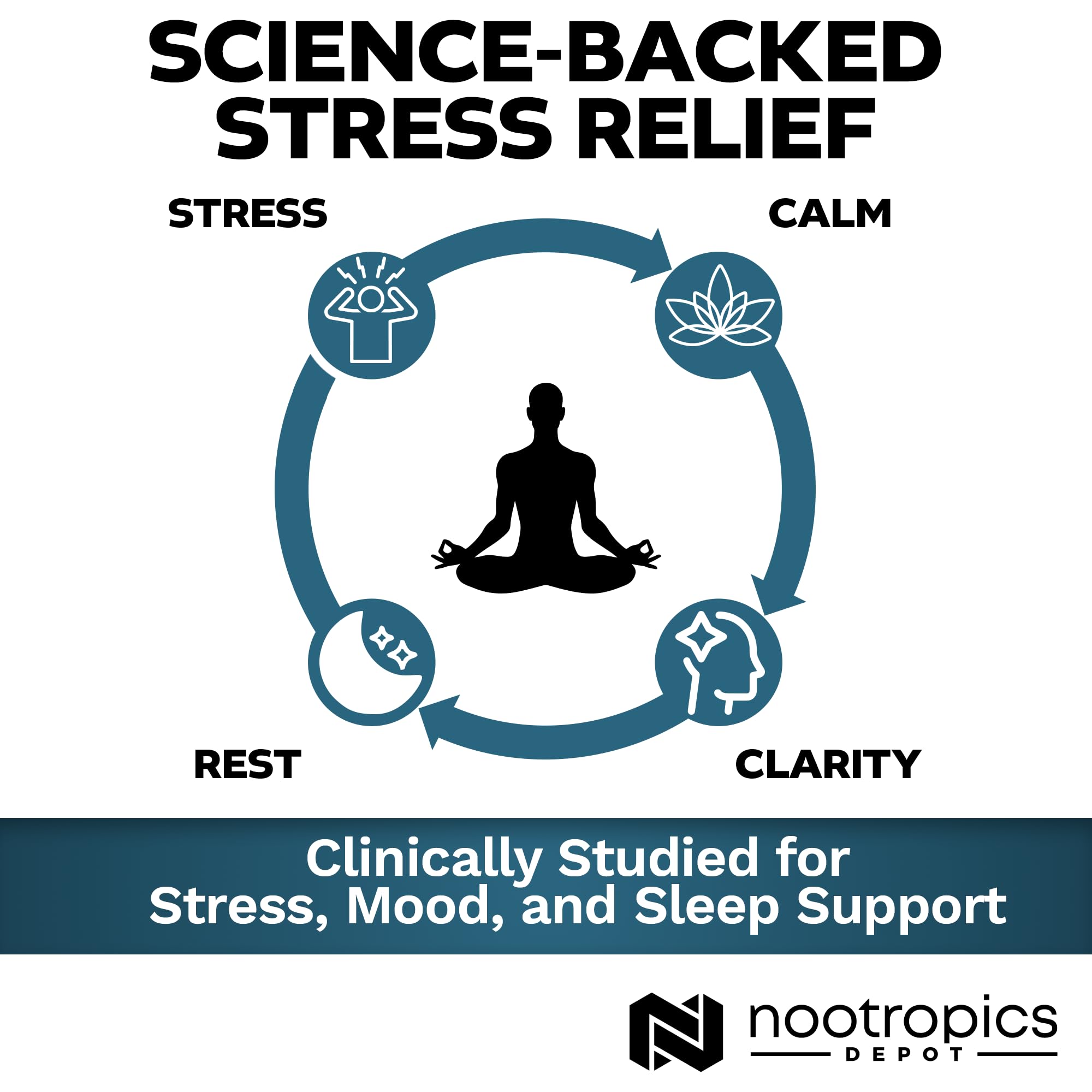 Nootropics Depot junto a objeto cotidiano para comparar tamaño del frasco