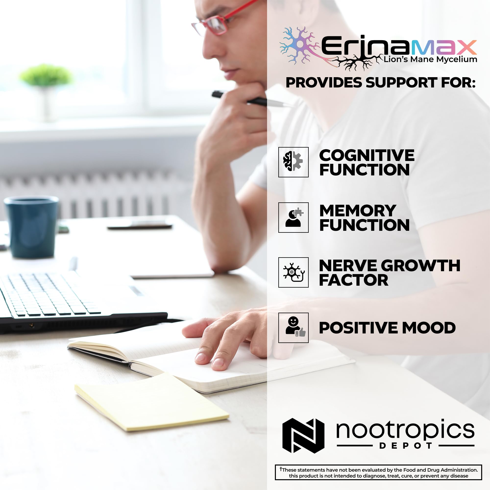 Nootropics Depot Erinamax en mano para comparar tamaño y dosificación práctica