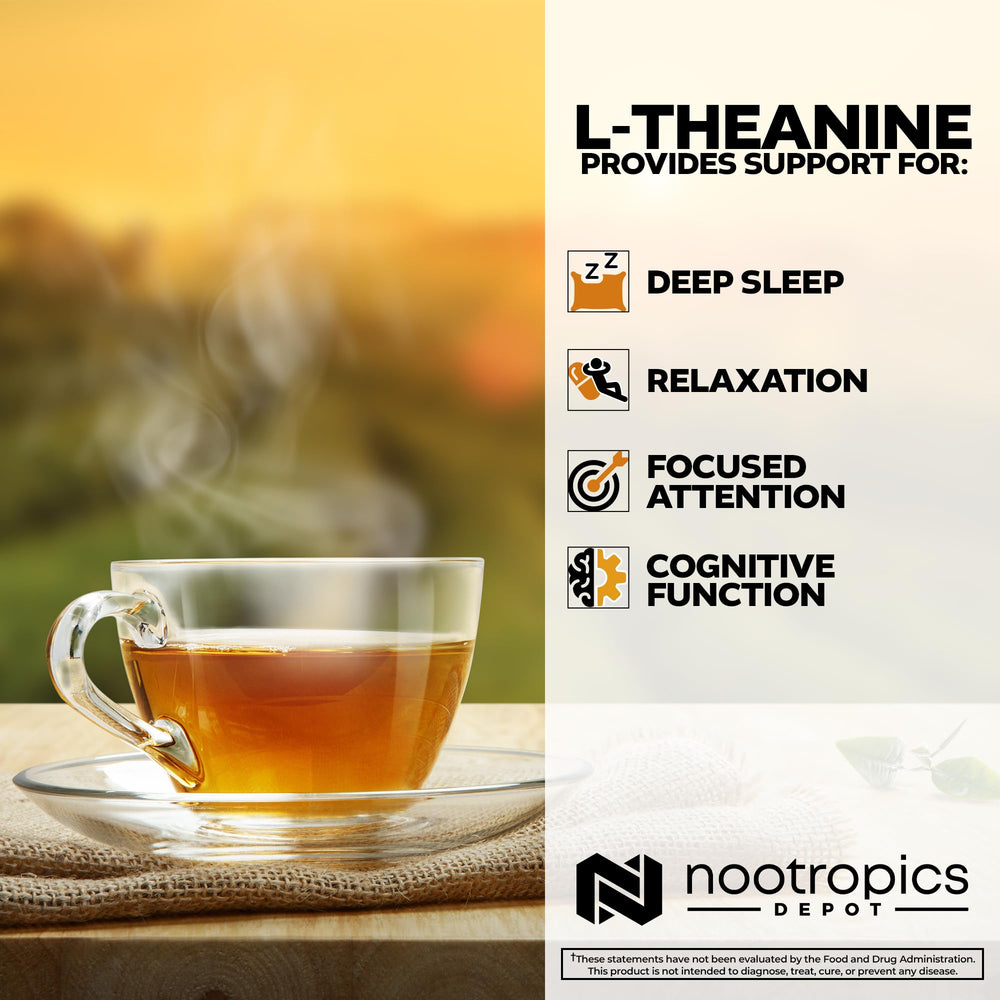 Nootropics Depot frasco en mano para comparar escala y facilitar dosificación