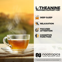 Nootropics Depot frasco en mano para comparar escala y facilitar dosificación