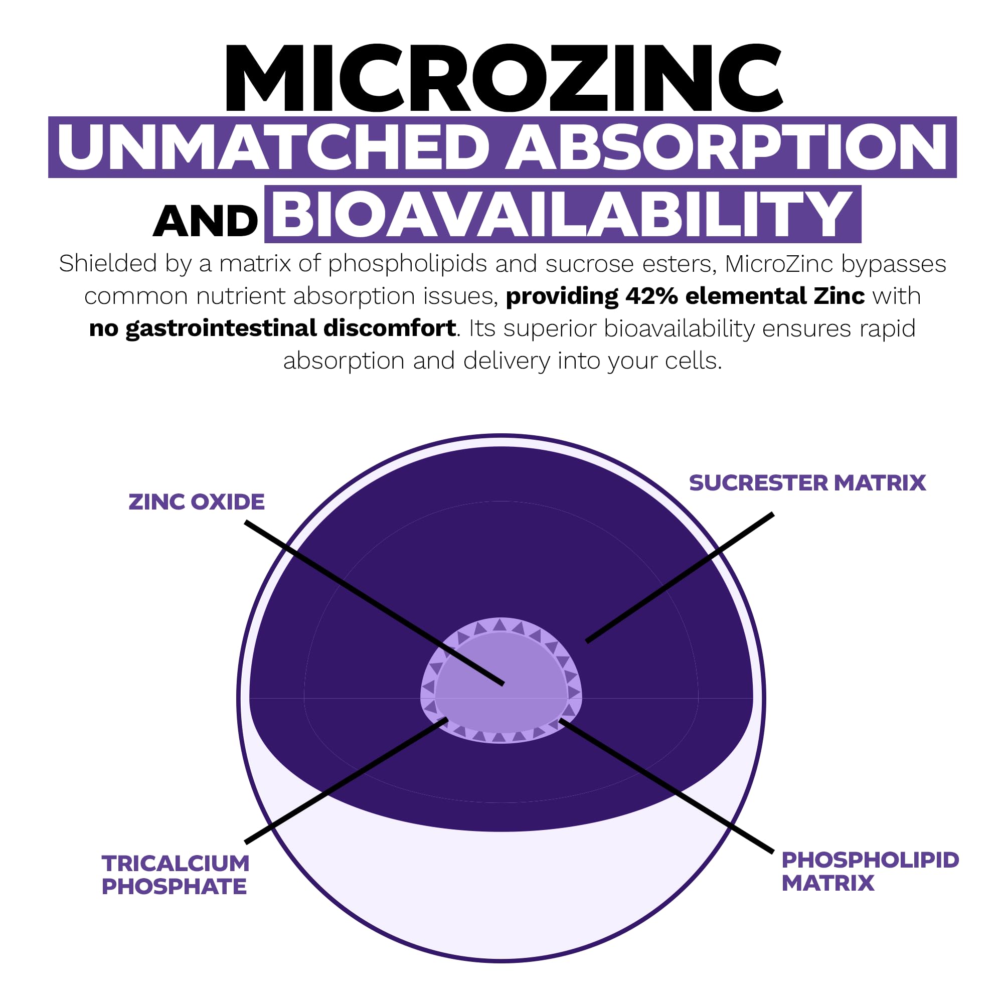 MicroZinc junto a un plato para mostrar cómo tomarlo con alimentos, Nootropics Depot