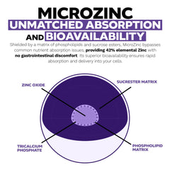 MicroZinc junto a un plato para mostrar cómo tomarlo con alimentos, Nootropics Depot