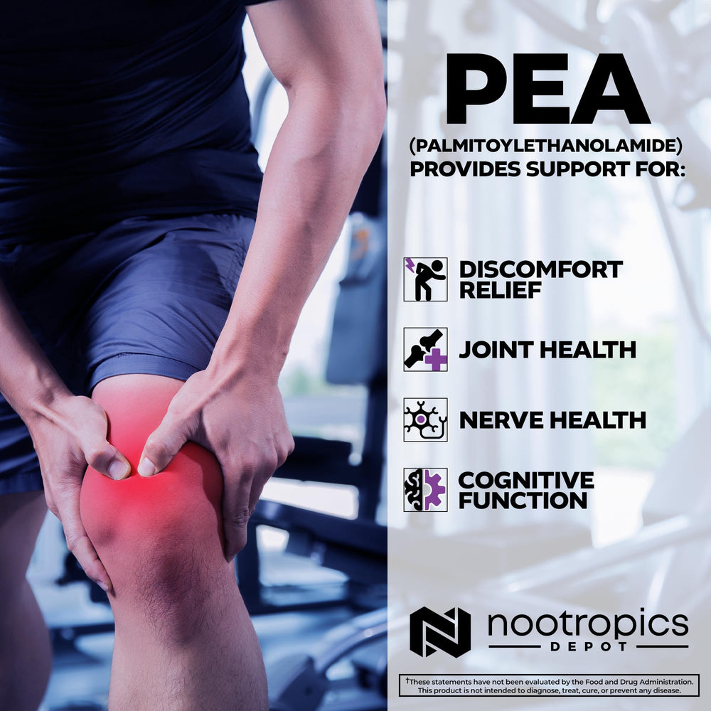 Envase de PEA Nootropics Depot sostenido en mano para escala visual