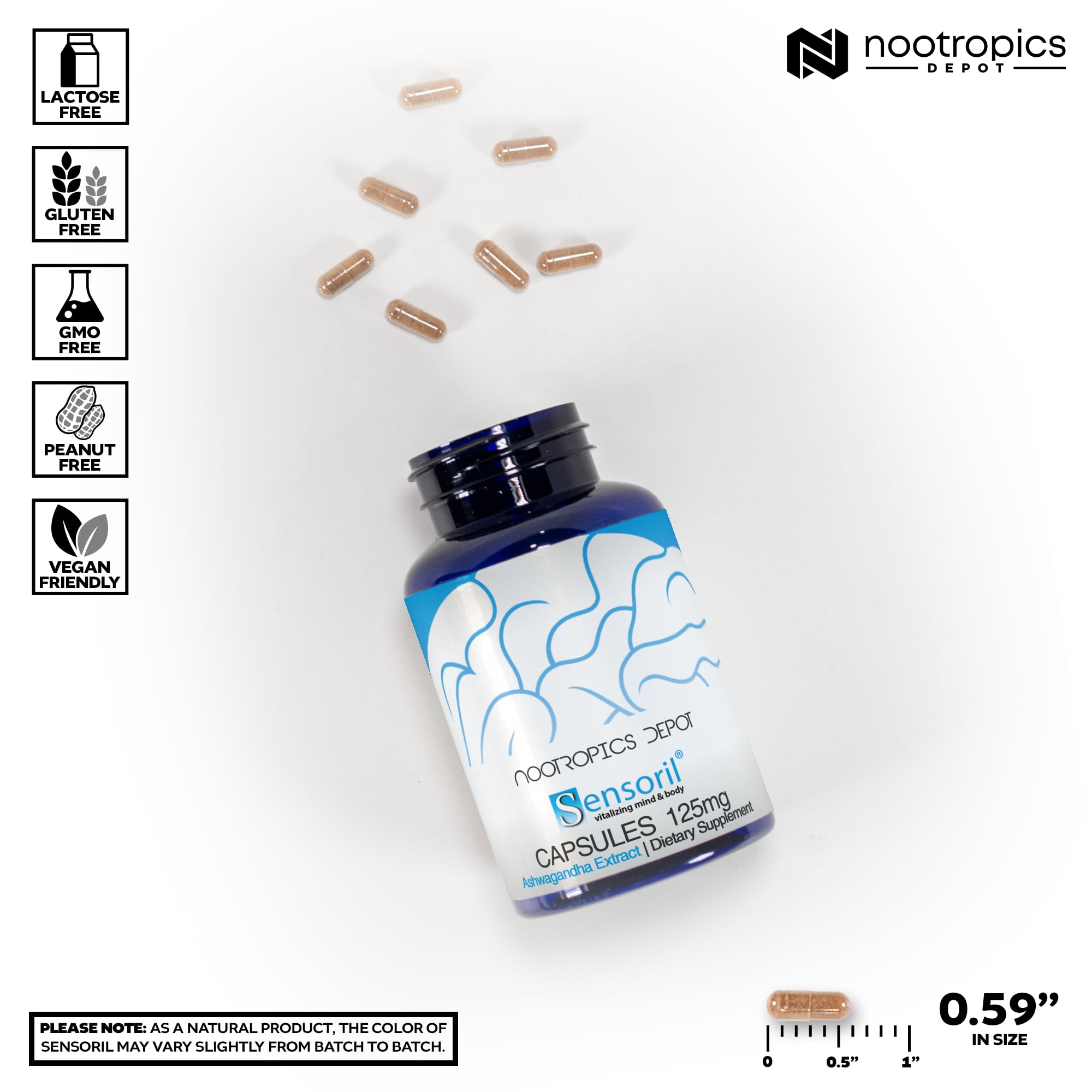 Nootropics Depot polvo de Sensoril Ashwagandha resaltando concentración