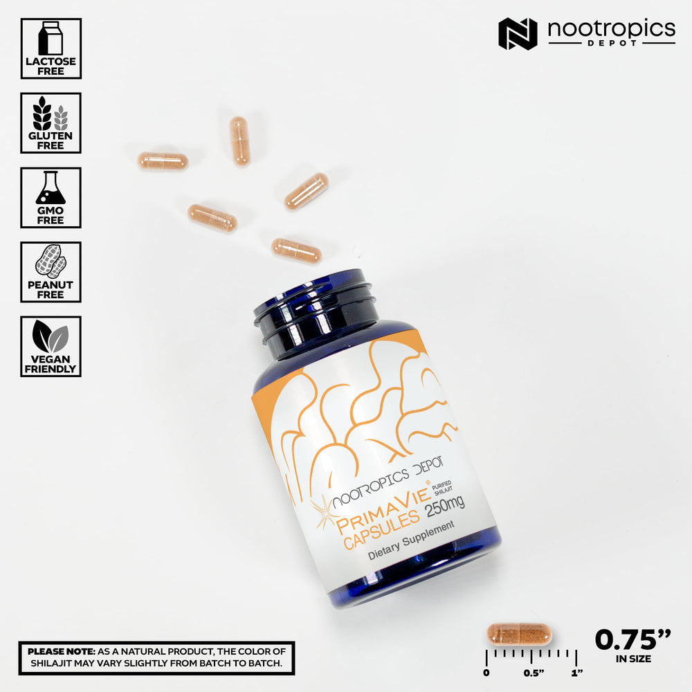 Nootropics Depot PrimaVie detalle de textura del extracto que evidencia pureza