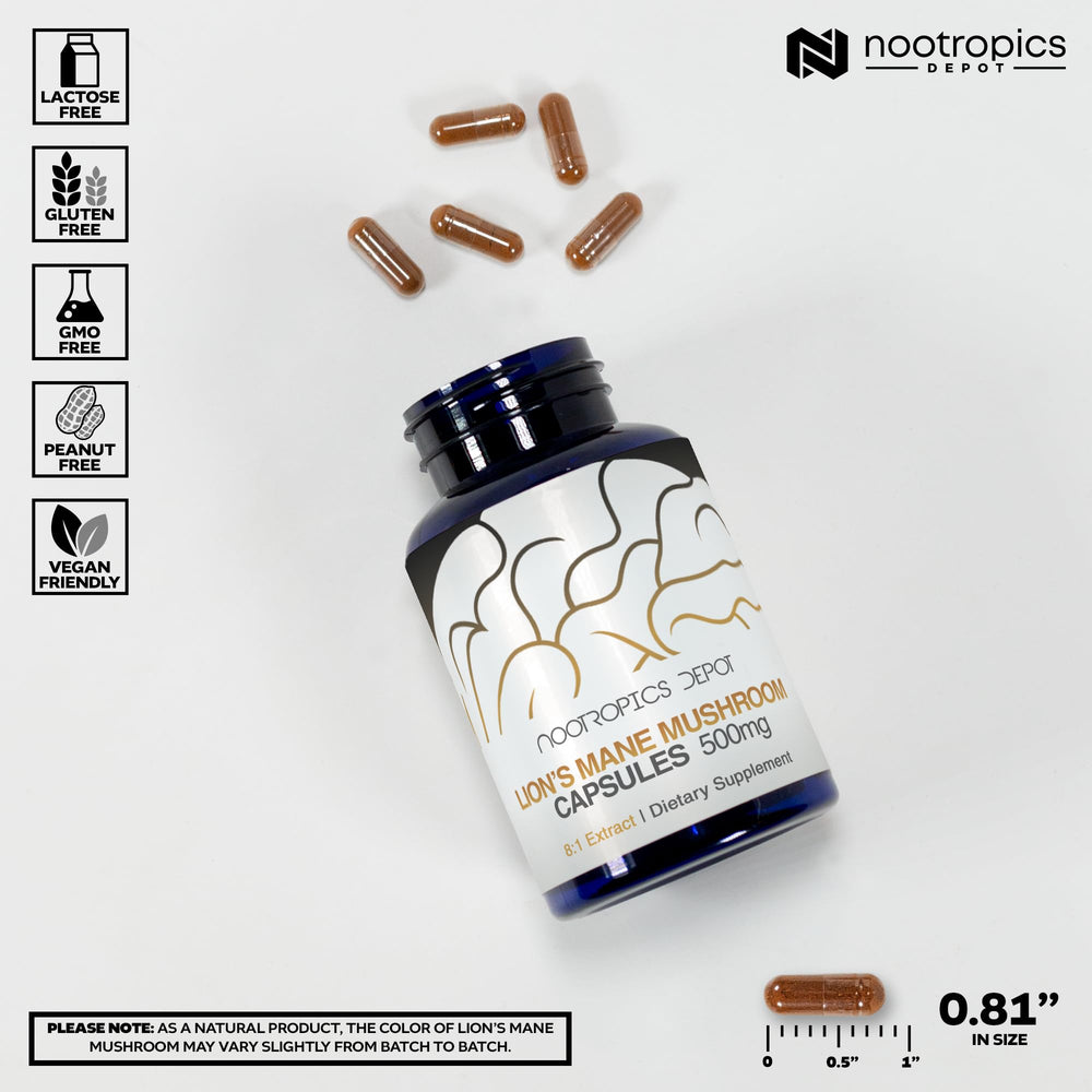 Nootropics Depot polvo del extracto mostrando textura fina