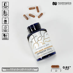 Nootropics Depot polvo del extracto mostrando textura fina