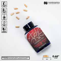 Nootropics Depot cápsula en mano para comparar tamaño y controlar dosis