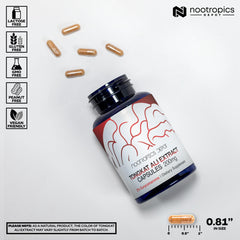 Nootropics Depot detalle de polvo de extracto, pureza y textura visible