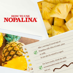 Nopalina en cocina con fruta piña, sugerencia de consumo en recetas diarias