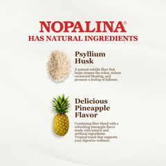 Nopalina Fiber Formula ingredientes clave, como linaza y psyllium para fibra.