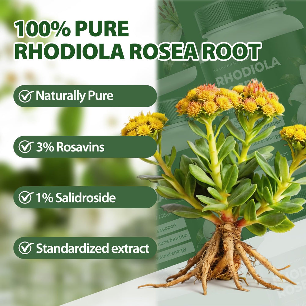 NOQONME raíz de rhodiola como ingrediente natural y origen