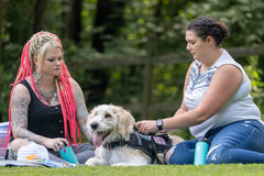 NormaLyte Pure, uso diario, mantenimiento del equilibrio hídrico.