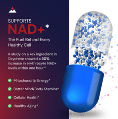 Novex Biotech Oxydrene en mano para comparar tamaño y dosificación