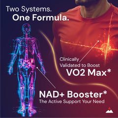 Novex Biotech Oxydrene tabletas detalle que facilitan ingesta rápida y cómoda