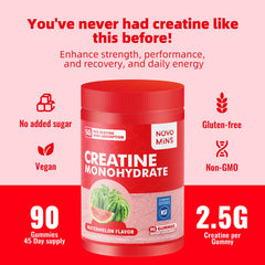 Novomins etiqueta nutricional mostrando 5 g creatina por porción