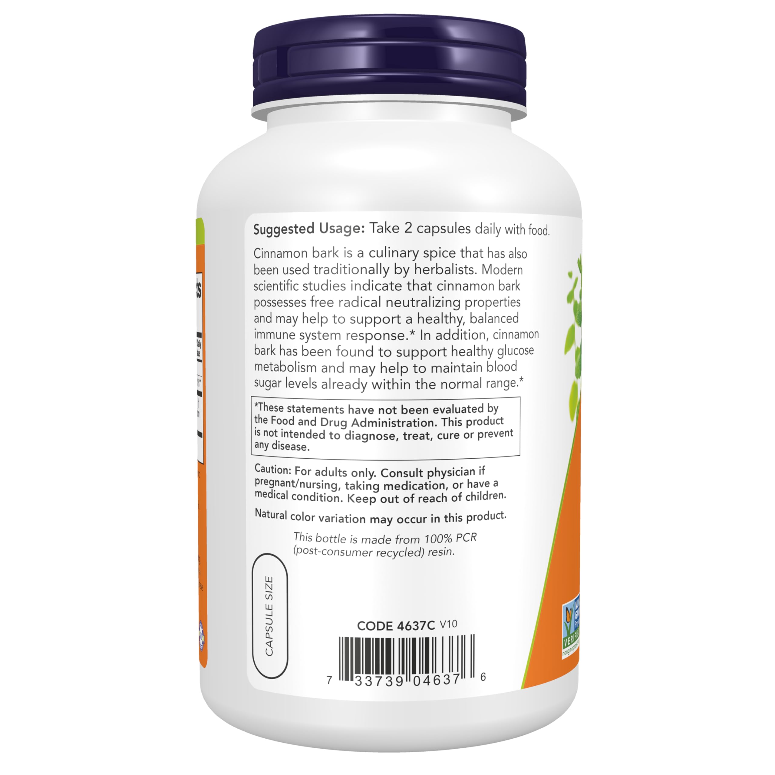 NOW Foods polvo de canela en primer plano mostrando pureza y potencia