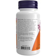 NOW Foods pycnogenol polvo del extracto en primer plano para textura