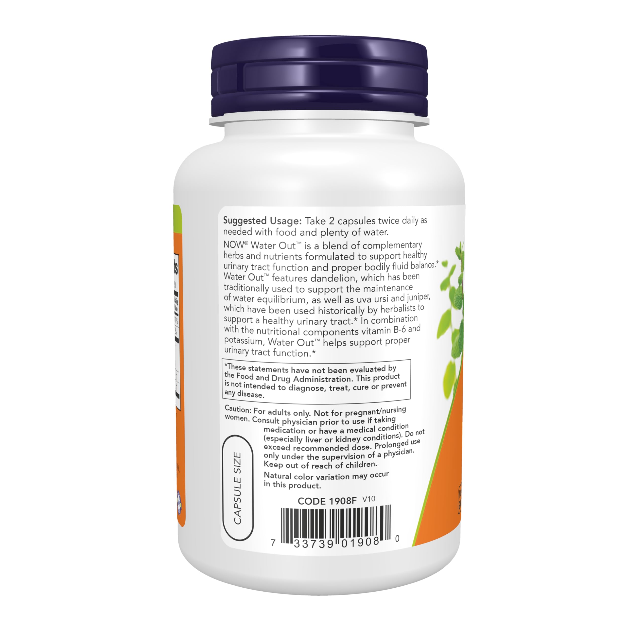 NOW Foods etiqueta con lista de ingredientes y certificación GMP visible