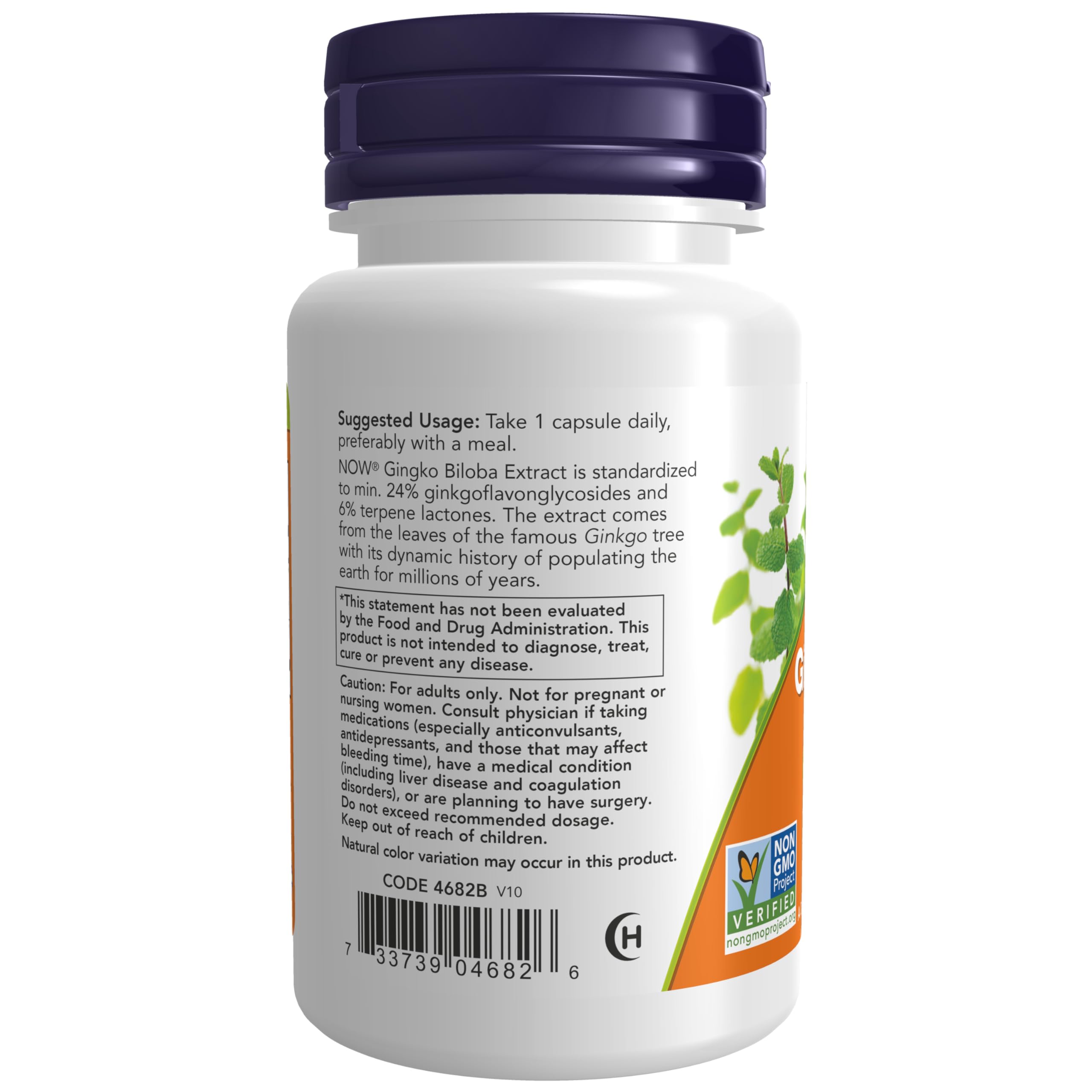 NOW Foods detalle del polvo de extracto de Ginkgo y su textura natural