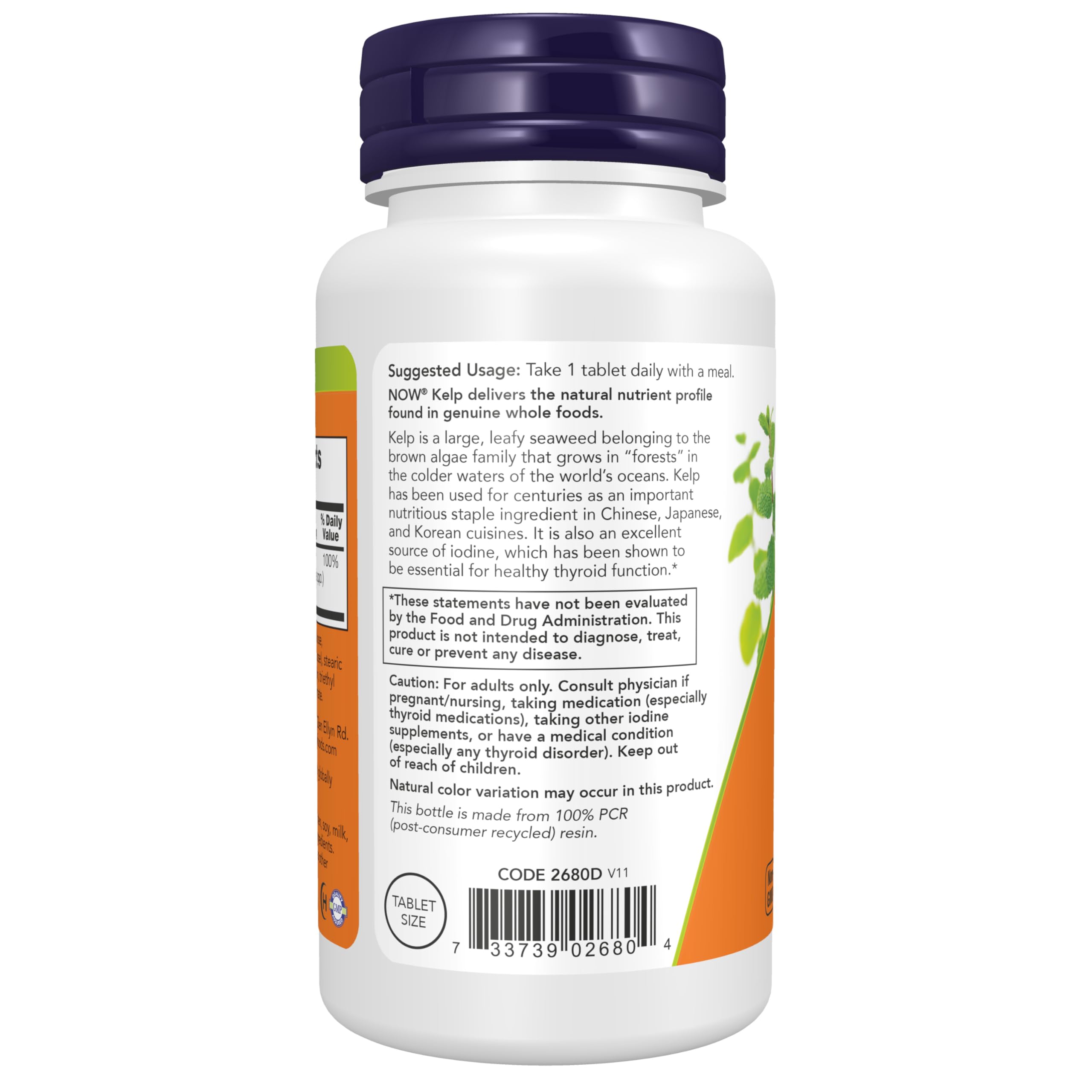 NOW Kelp primer plano de textura de kelp para mostrar origen natural y perfil mineral