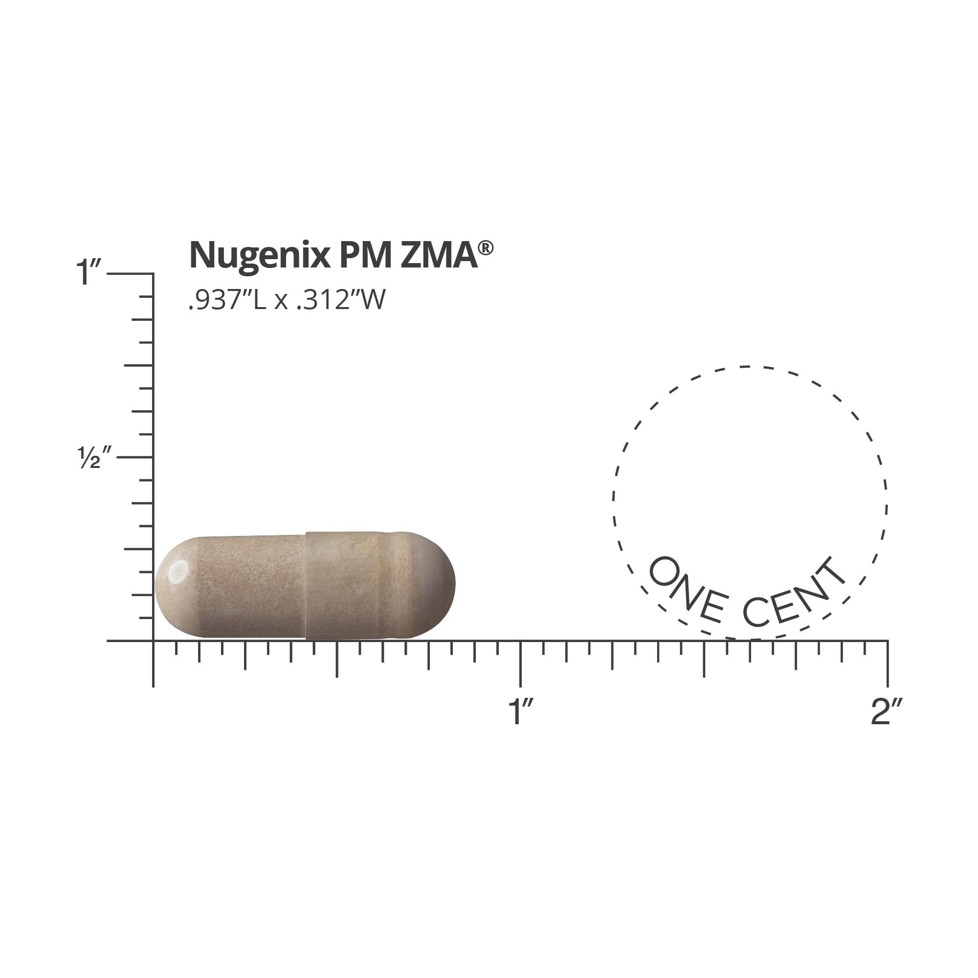 Nugenix PM ZMA comparación de tamaño en manos para visualización real