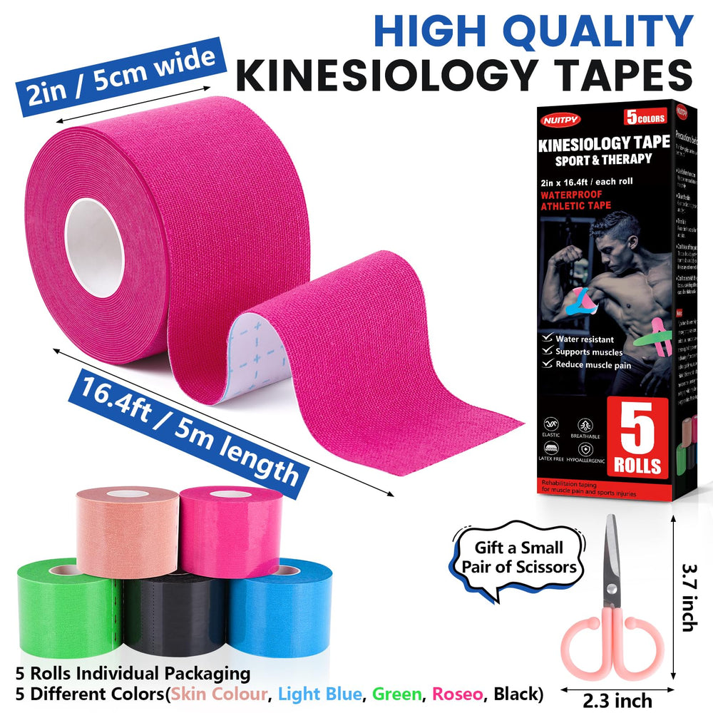 NUITPY colección de cinco colores organizada para selección rápida y estética