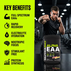 NutraBio Alpha EAA bote en mano para comparar tamaño y practicidad