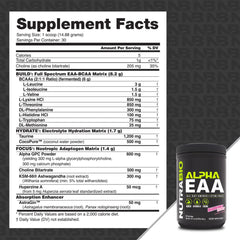 NutraBio Alpha EAA polvo en cucharada mostrando textura y facilidad de disolver