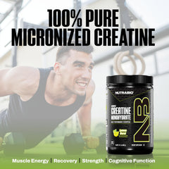 NutraBio polvo y molécula representa creatina pura alta calidad