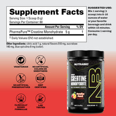NutraBio textura micronizada del polvo mostrando disolución rápida y mezcla uniforme
