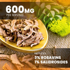 NutraChamps cápsula en mano para comparar tamaño y dosis práctica