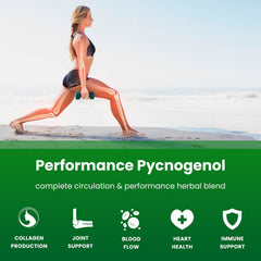 NutraChamps cápsulas junto a regla para comparar tamaño y comodidad