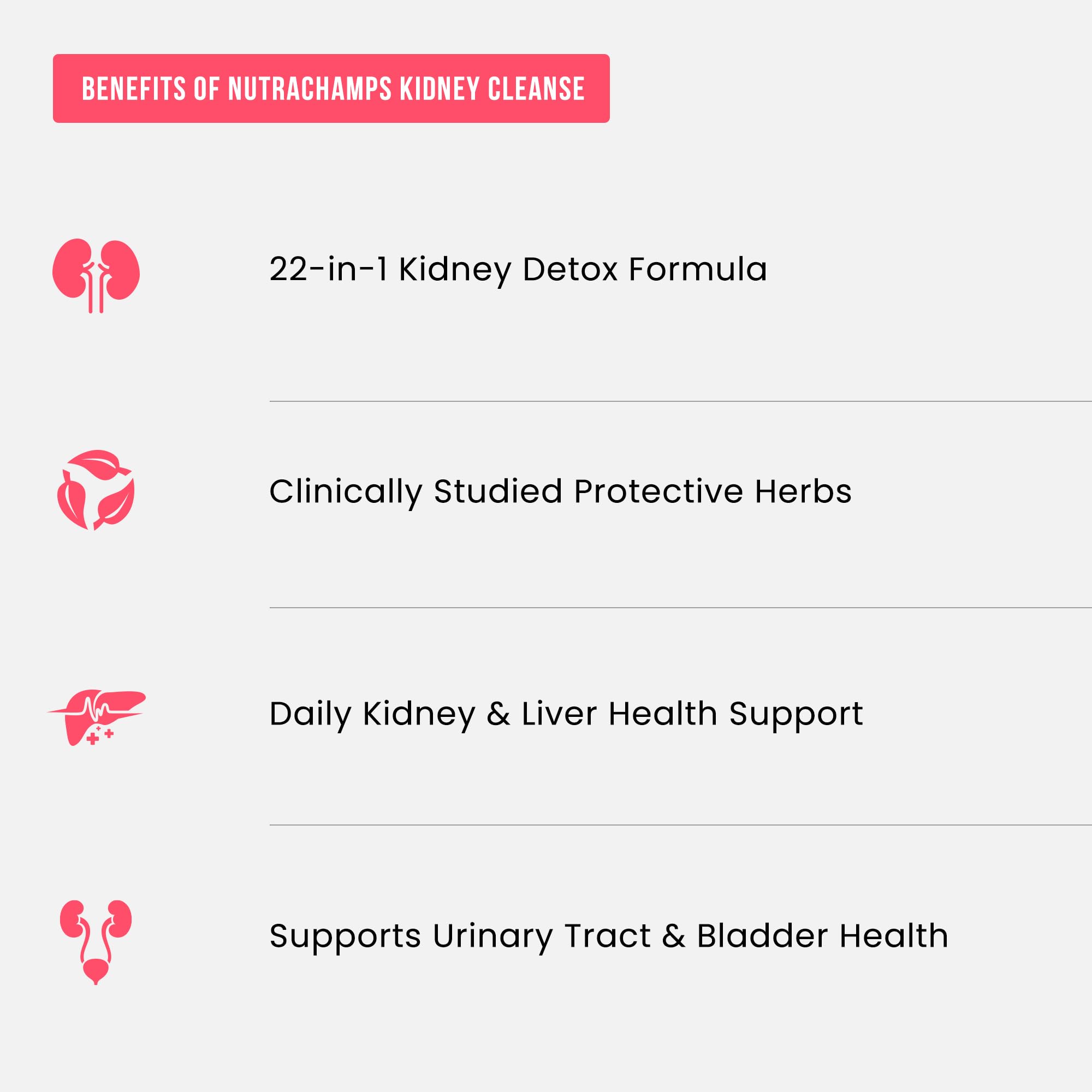 NutraChamps etiqueta con lista de ingredientes para verificar calidad y transparencia