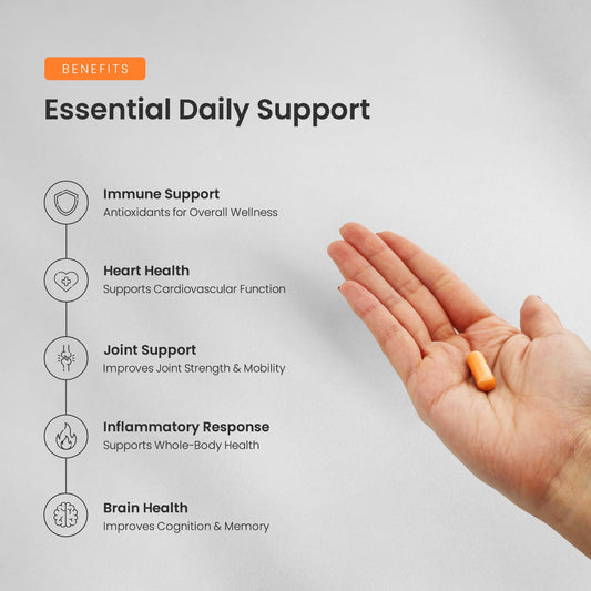 NutraChamps etiqueta nutricional legible con ingredientes y concentración clara