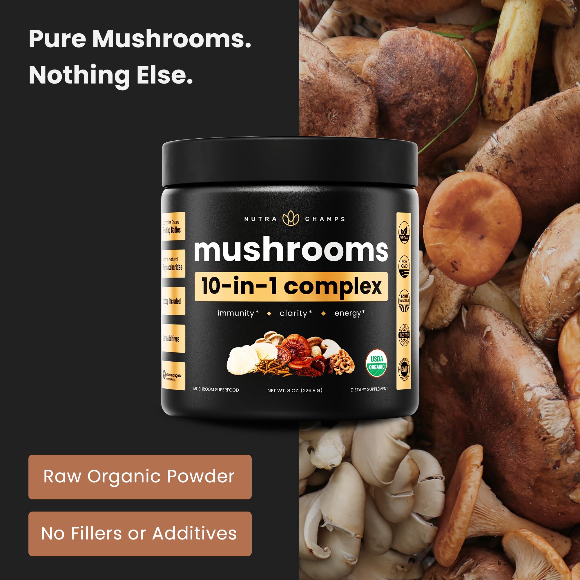 Polvo de NutraChamps en primer plano mostrando textura fina y mezcla homogénea
