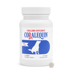 Nutramax Cobalequin vista frontal del empaque con información clara y respaldo veterinario