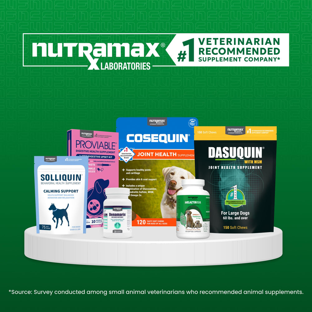 Nutramax Cobalequin comparación de tamaño con moneda para referencia de escala
